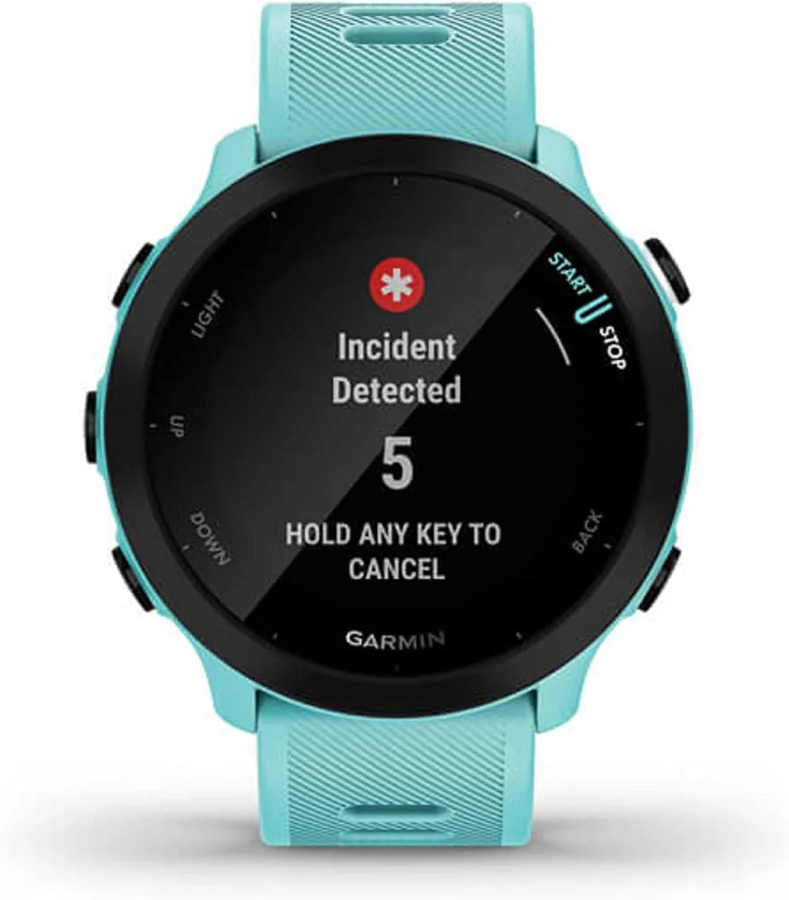 Garmin Forerunner 55 Montre de Course GPS avec entraînements Quotidiens suggérés, jusqu'à 2 semaines d'autonomie, Aqua