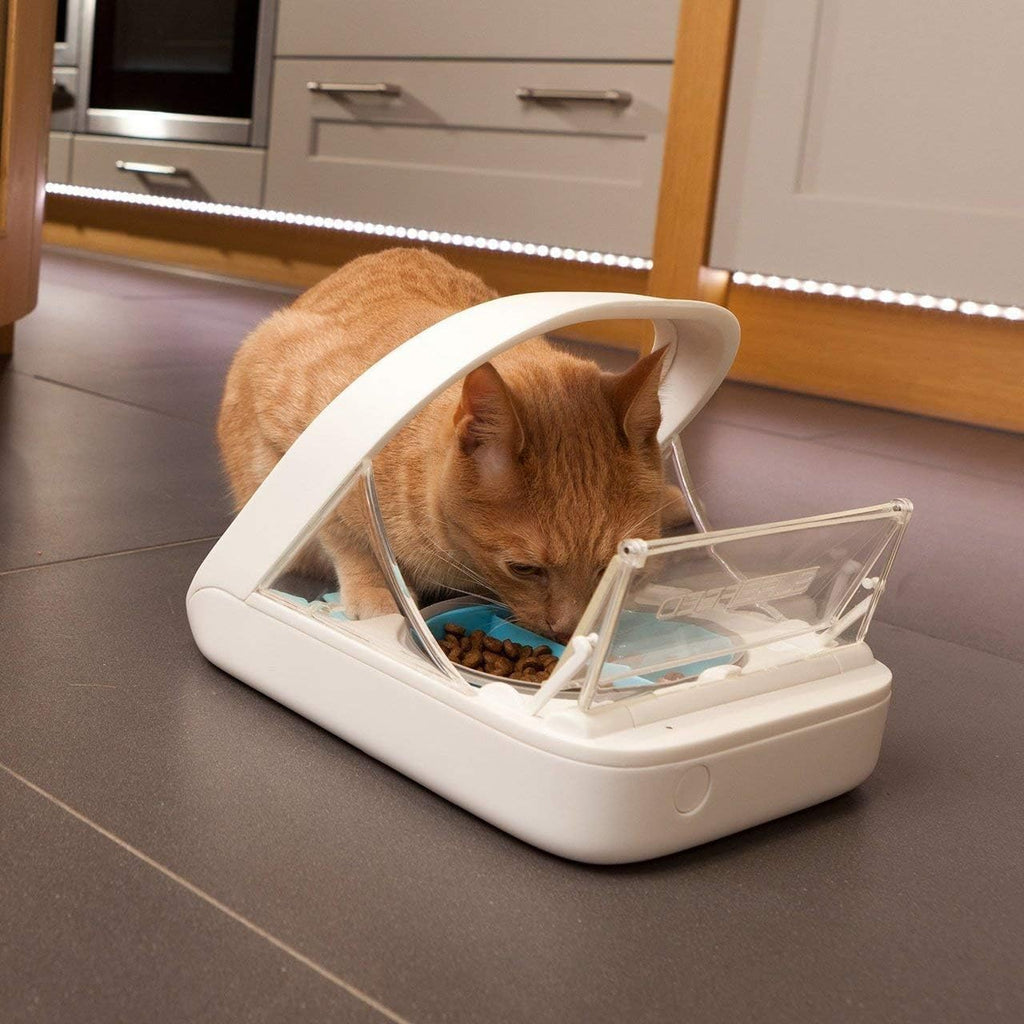Alimentador Automático para Mascotas - Alimentador con Microchip para Mascotas – MPF001 – Adecuado para Comida Húmeda y Seca – Toalla para Mascotas eOutletDeals de regalo