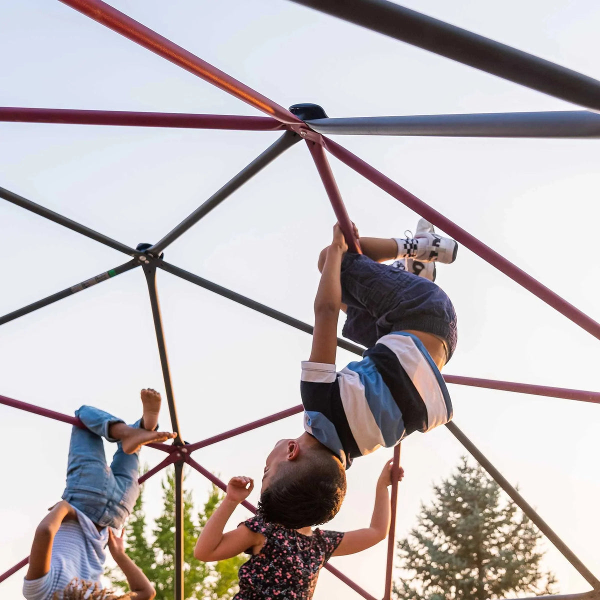 Lifetime Cúpula para Escalar al Aire Libre para Niños, 5.5 pies de Alto x 11 pies de Ancho, Color Berry y Marrón (91088)