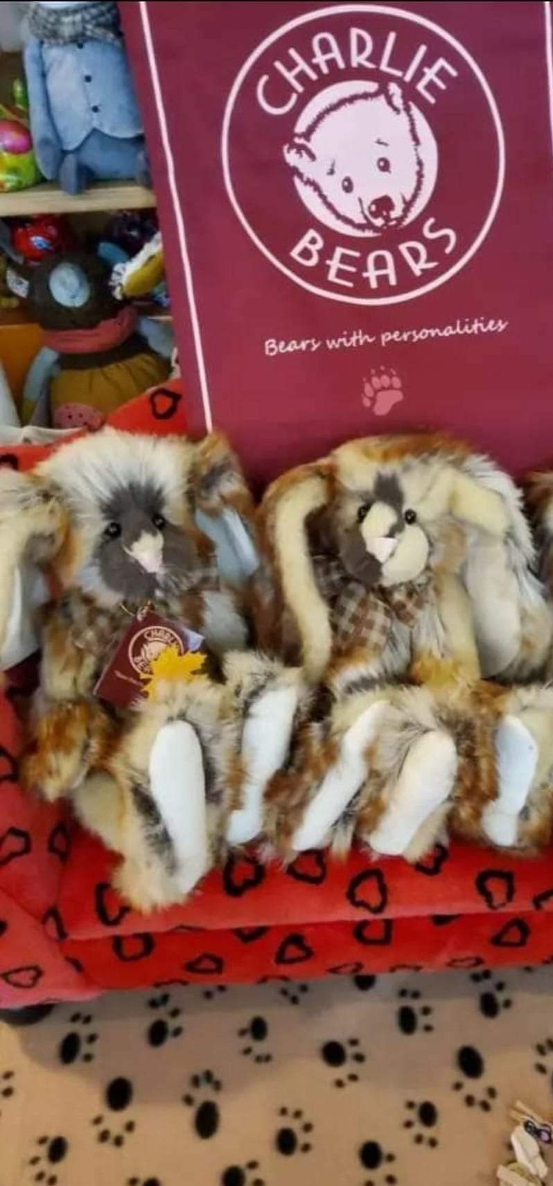 Charlie Bears Brûlèe – Bild 2