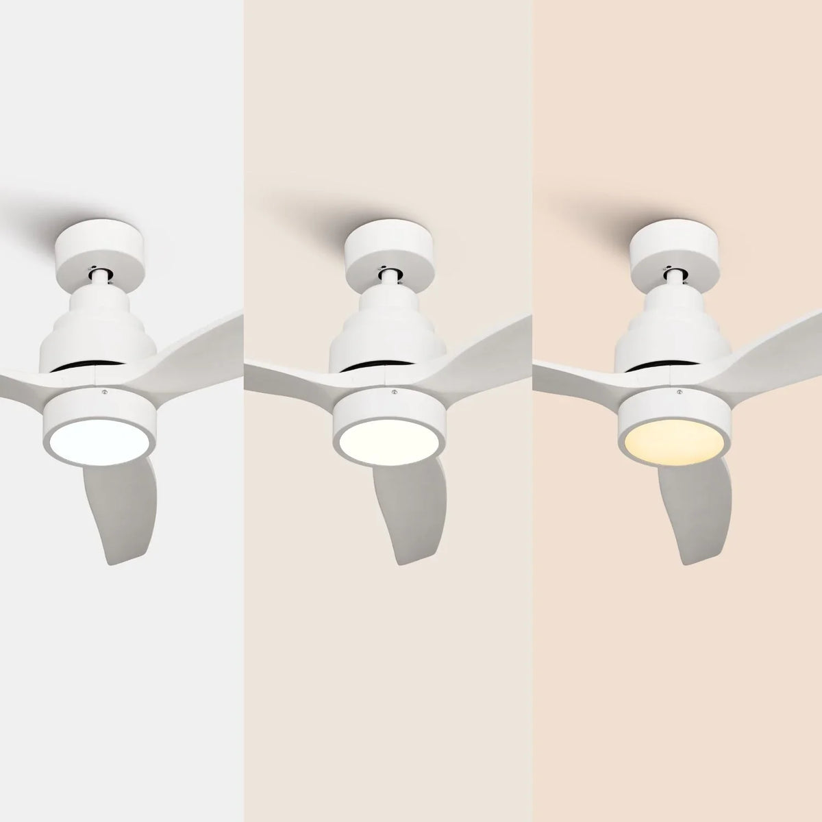 Brizy Bright White